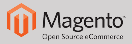 Magento Developer